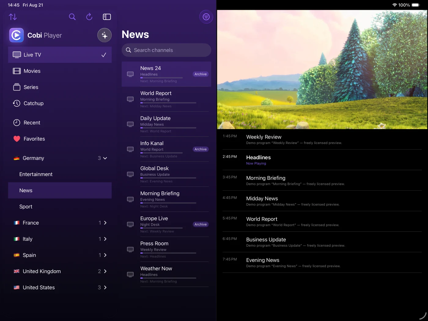 iPad in landscape: countries and categories in the sidebar, the channel list with now/next and “Archive” badges in the middle, the picture with today’s program on the right.