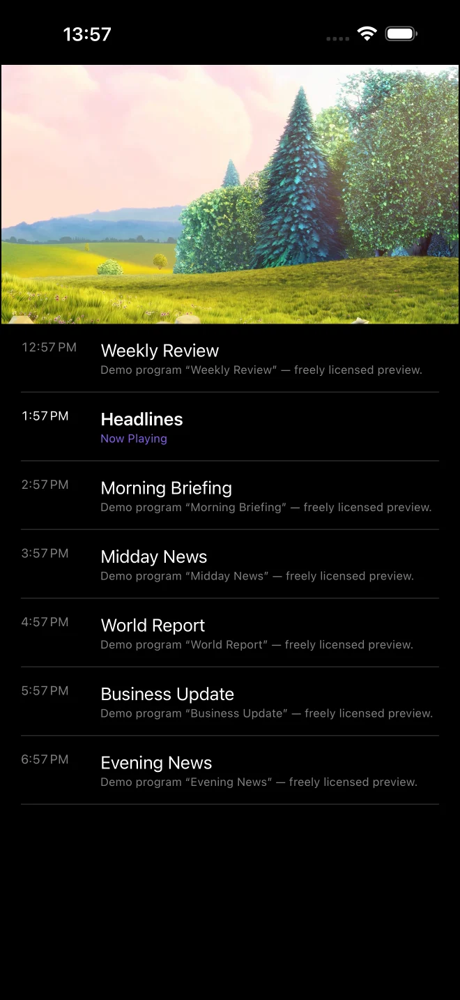 iPhone: the picture at the top, the day’s program listed underneath, the current show marked as playing now.